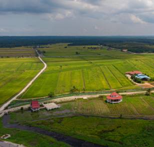 Plots & Land Investments